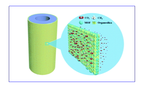 利澳国际注册科技
