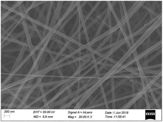 利澳国际注册科技