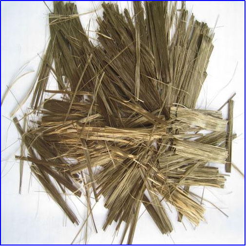 利澳国际注册科技