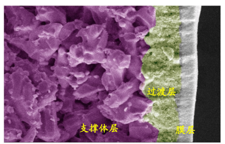 利澳国际注册科技