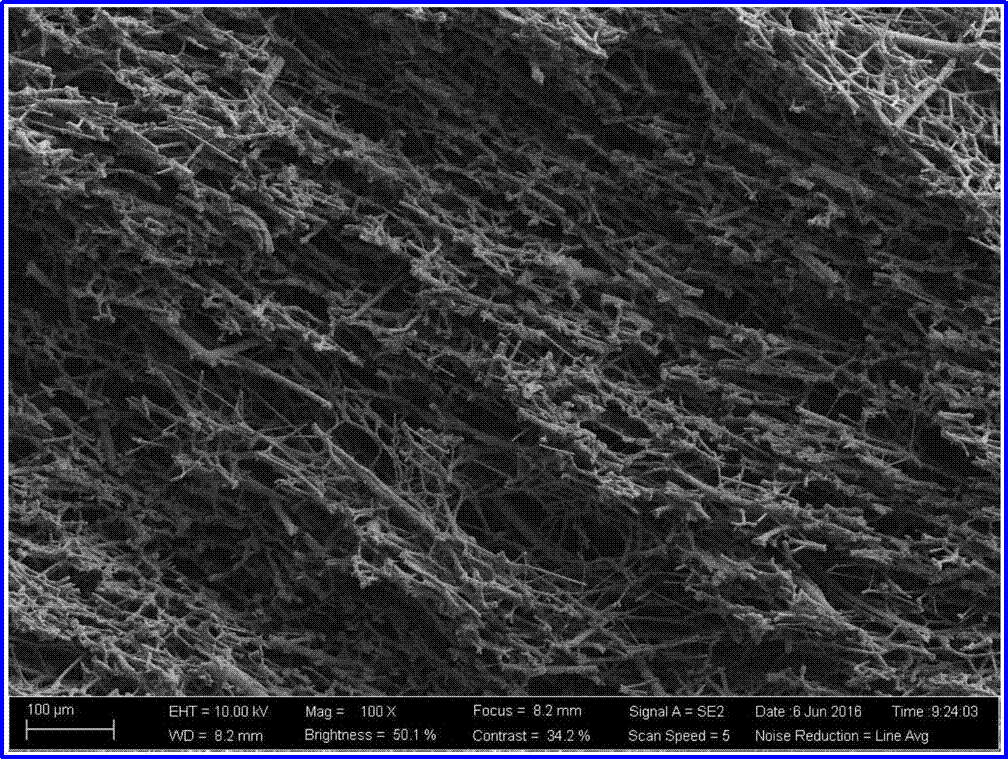 利澳国际注册科技