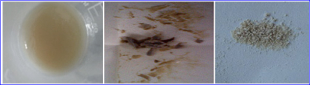 利澳国际注册科技