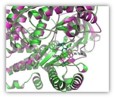 利澳国际注册科技