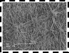 利澳国际注册科技