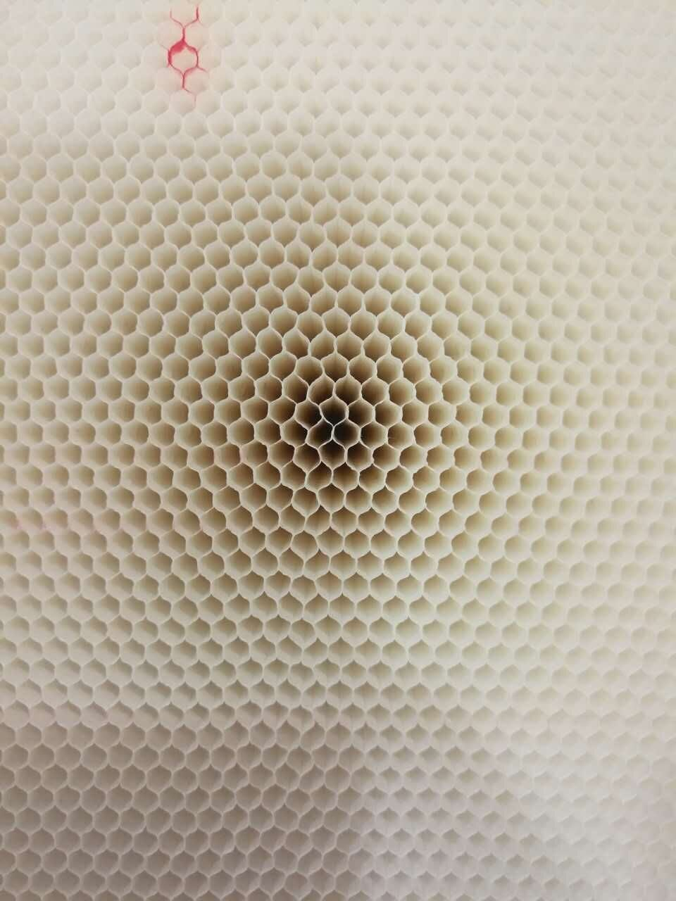 利澳国际注册科技