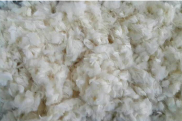 利澳国际注册科技